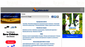 What Pidru4niki.com website looked like in 2022 (1 year ago)