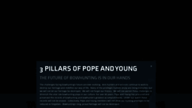 What Pope-young.org website looked like in 2023 (1 year ago)