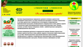 What Pozwonocnik.ru website looked like in 2023 (1 year ago)