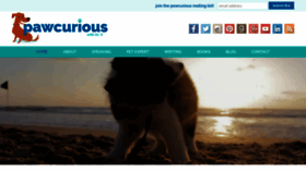 What Pawcurious.com website looked like in 2023 (1 year ago)