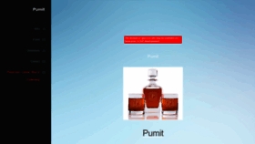 What Pumit.com website looked like in 2023 (1 year ago)