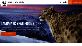 What Panda.org website looked like in 2023 (2 years ago)