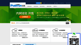What Pubyun.com website looked like in 2023 (1 year ago)