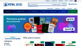 What Pzwl.pl website looked like in 2023 (1 year ago)