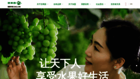 What Pagoda.com.cn website looked like in 2023 (1 year ago)