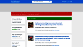 What Proveiling.nl website looked like in 2023 (1 year ago)