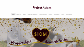 What Projectapism.org website looked like in 2023 (1 year ago)