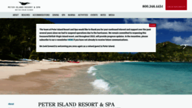 What Peterisland.com website looked like in 2023 (1 year ago)