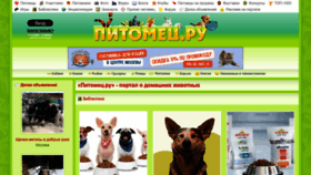 What Pitomec.ru website looked like in 2023 (1 year ago)