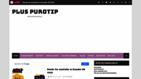 What Pluspurotip.com website looked like in 2023 (1 year ago)