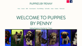 What Puppiesbypenny.com website looked like in 2023 (1 year ago)