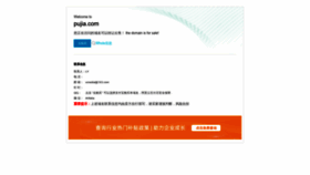 What Pujia.com website looked like in 2023 (1 year ago)