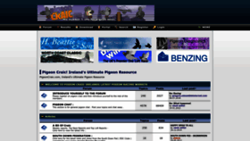 What Pigeoncraic.com website looked like in 2023 (This year)
