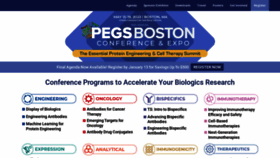 What Pegsummit.com website looked like in 2023 (This year)