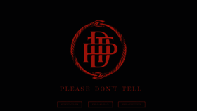 What Pdtnyc.com website looked like in 2023 (2 years ago)
