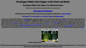 What Parazapper.com website looked like in 2023 (This year)