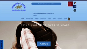 What Pinkmead.co.uk website looked like in 2023 (This year)