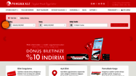 What Pamukkale.com.tr website looked like in 2023 (This year)