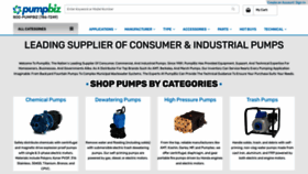 What Pumpbiz.com website looked like in 2023 (This year)