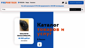 What Propartner.ru website looked like in 2023 (This year)
