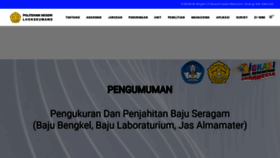 What Pnl.ac.id website looked like in 2023 (This year)