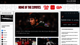 What Phoenixcoyotes.com website looked like in 2023 (This year)