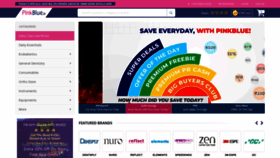 What Pinkblue.in website looked like in 2023 (This year)
