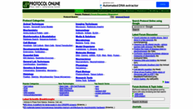 What Protocol-online.org website looked like in 2023 (This year)