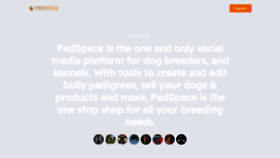 What Pedspace.com website looked like in 2023 (This year)