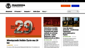 What Pracownia.org.pl website looked like in 2023 (This year)