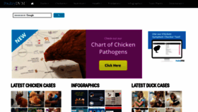 What Poultrydvm.com website looked like in 2023 (This year)