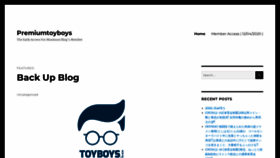 What Premiumtoyboys.com website looked like in 2023 (This year)