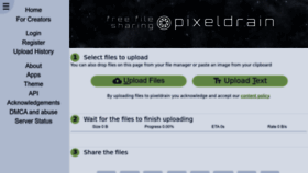 What Pixeldra.in website looked like in 2023 (This year)