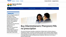 What Phenydilan.com website looked like in 2023 (This year)