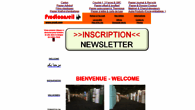 What Prodi.com website looked like in 2023 (This year)