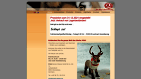 What Plueti-nova.de website looked like in 2023 (This year)