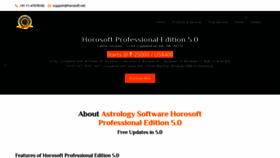 What Professional5.horosoft.net website looked like in 2023 (This year)