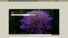 What Perennials.com website looked like in 2023 (This year)