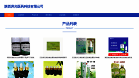 What Pgwangluo.com website looked like in 2023 (This year)