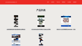 What Pinfeikj.com website looked like in 2023 (This year)