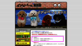 What Papipupet-tokyo.com website looked like in 2023 (This year)