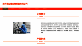 What Pengyaoshi1.com website looked like in 2023 (This year)