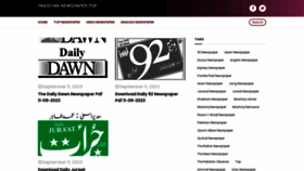 What Pakistan-newspaper-pdf.com website looked like in 2023 (This year)