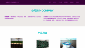 What Penghuifund.com website looked like in 2023 (This year)