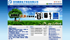 What Pankoktech.com website looked like in 2023 (This year)