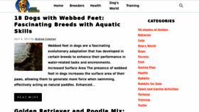 What Pawtasticpet.com website looked like in 2023 (This year)