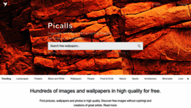 What Picalls.com website looked like in 2023 (This year)