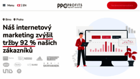 What Ppcprofits.cz website looked like in 2023 (This year)