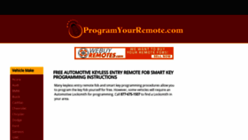 What Programyourremote.com website looked like in 2023 (This year)