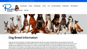 What Pooch.ca website looked like in 2023 (This year)